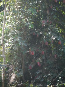 P1010856